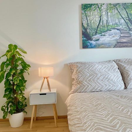 Central 55M2 Flat With Balcony & Parking ウィーン エクステリア 写真