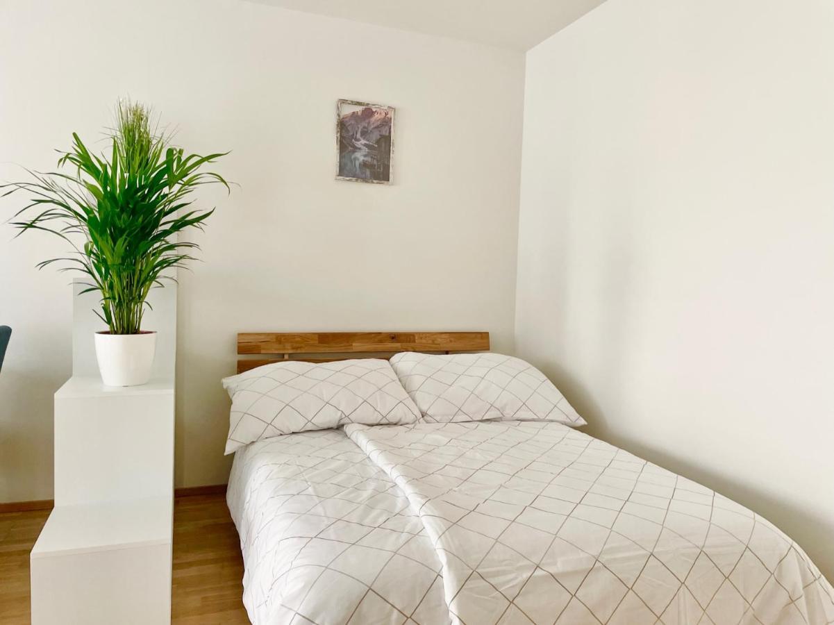 Central 55M2 Flat With Balcony & Parking ウィーン エクステリア 写真
